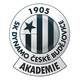 SK Dynamo Budweis Akademie